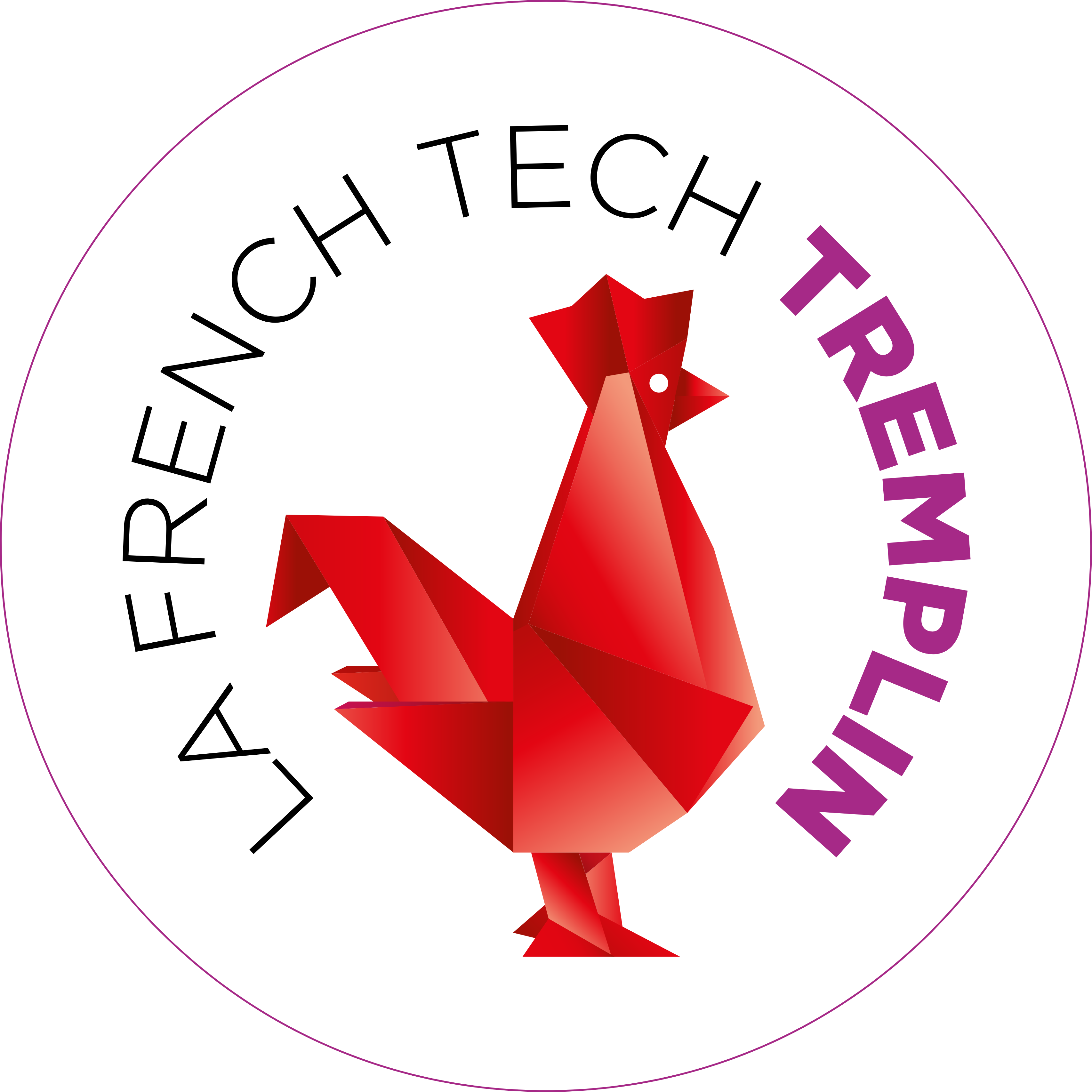 French Tech Tremplin